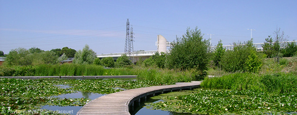 Foto: Phytorestore  - paisagem em Nanterre - França