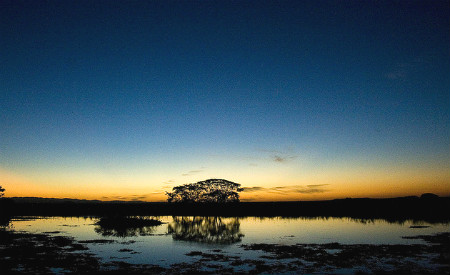pantanal-ecod.jpg