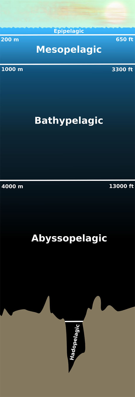 Marine zone diagram 460