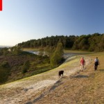 People walking on the old A3 main road, now grassed over, at the Devil's Punch Bowl, Hindhead Common, Surrey.