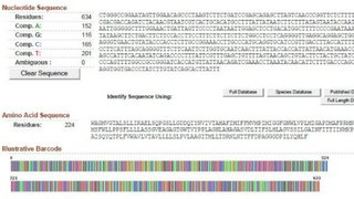 O código de barras tradicional é uma representação gráfica em preto e branco de dados numéricos, conforme as diferentes larguras das faixas. No código da vida, as cores correspondem às bases da sequência do DNA