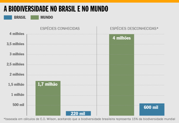 A biodiversidade no Brasil e no Mundo