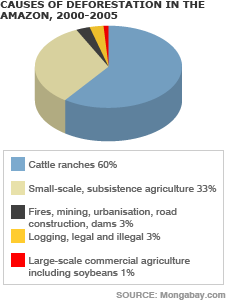 pie chart 