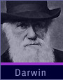 darwin