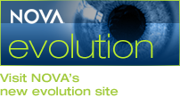 Visit  NOVA's new evolution site