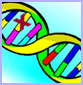 drawing of  DNA with one nucelotide crossed-out